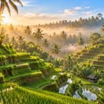 Tegallalang rice terraces in Ubud, Bali