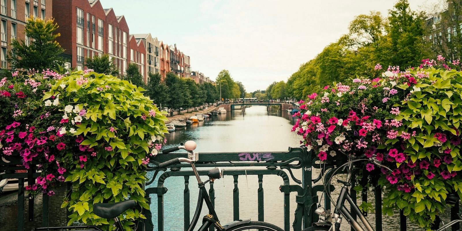 Flowers and bicycles on an Amsterdam canal bridge