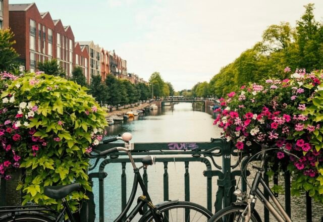 Best Time to Visit Amsterdam: Tulips, Weather by Month & Events