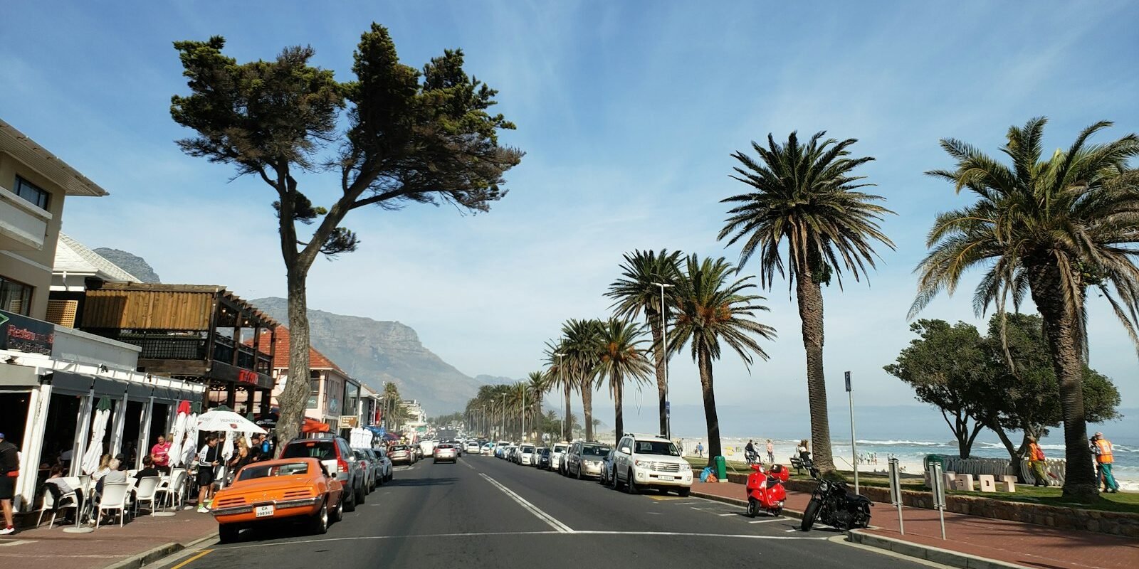 Palm trees on the Camps Bay beachfront, Cape Town