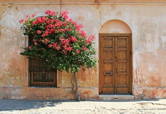 Colonia del Sacramento Day Trip from Buenos Aires: Ferry & Tips