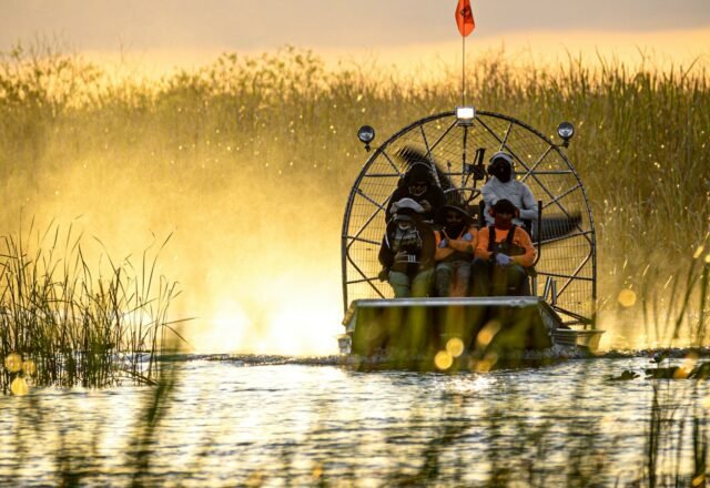 Everglades Day Trip from Miami 2026: Airboats, Shark Valley & Fees