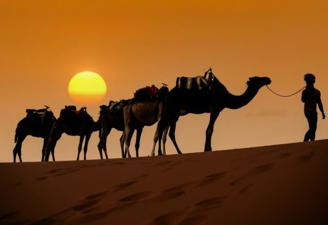 Fes to Merzouga desert trip: tours, route and tips (2026)