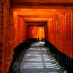 A tunnel of red torii gates at Fushimi Inari Taisha