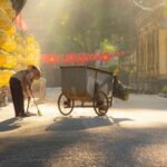 Tree-lined street in Hanoi in autumn