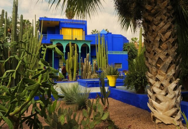 Jardin Majorelle Tickets 2026: Prices, Online Booking & YSL Museum
