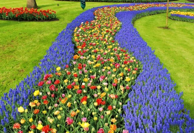 Keukenhof 2027 Tickets: Dates, Prices, Best Time for Tulips & How to Get There