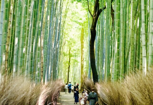 Kyoto Itinerary: 3 Days (Plus 2- and 5-Day Options) for First-Timers