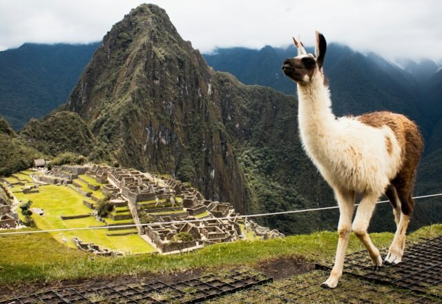 Machu Picchu Tickets 2026: Prices, Circuits and How to Book