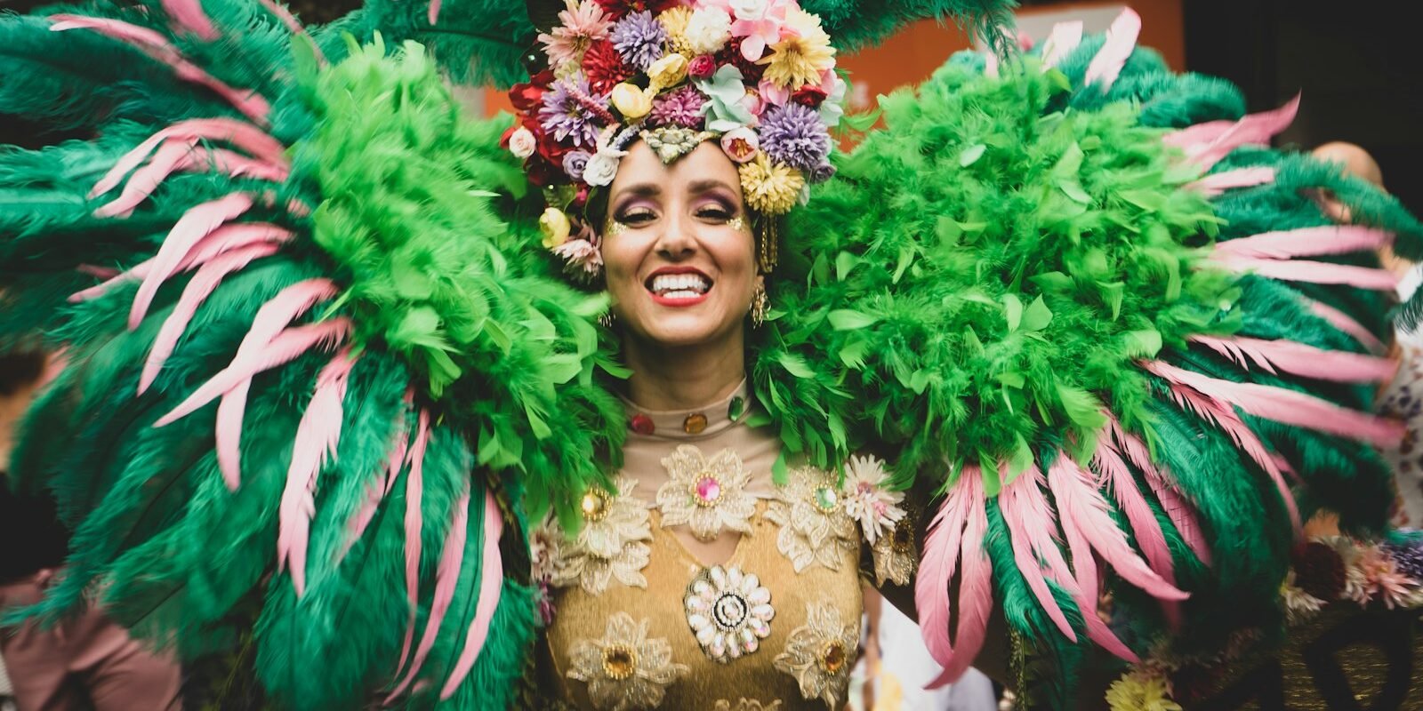 Colourful Mardi Gras costume and feathers