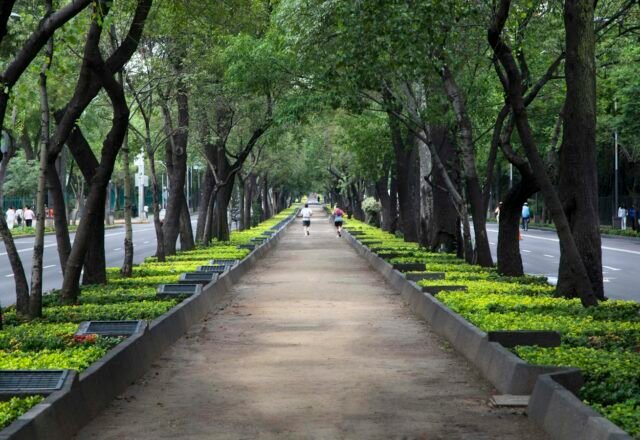Where to Stay in Mexico City: Best & Safest Areas (2026)