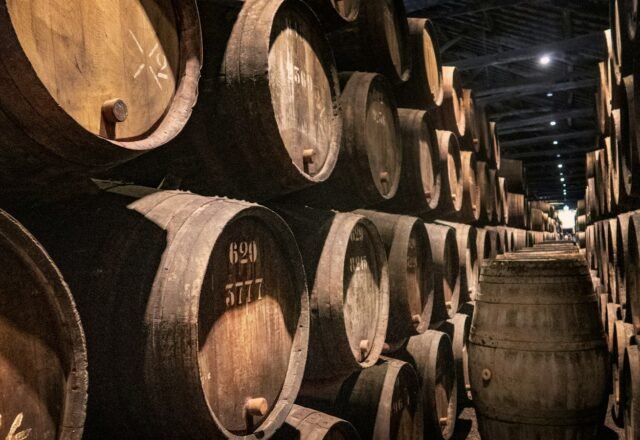 Port wine cellars in Vila Nova de Gaia: best tours and tastings (2026)