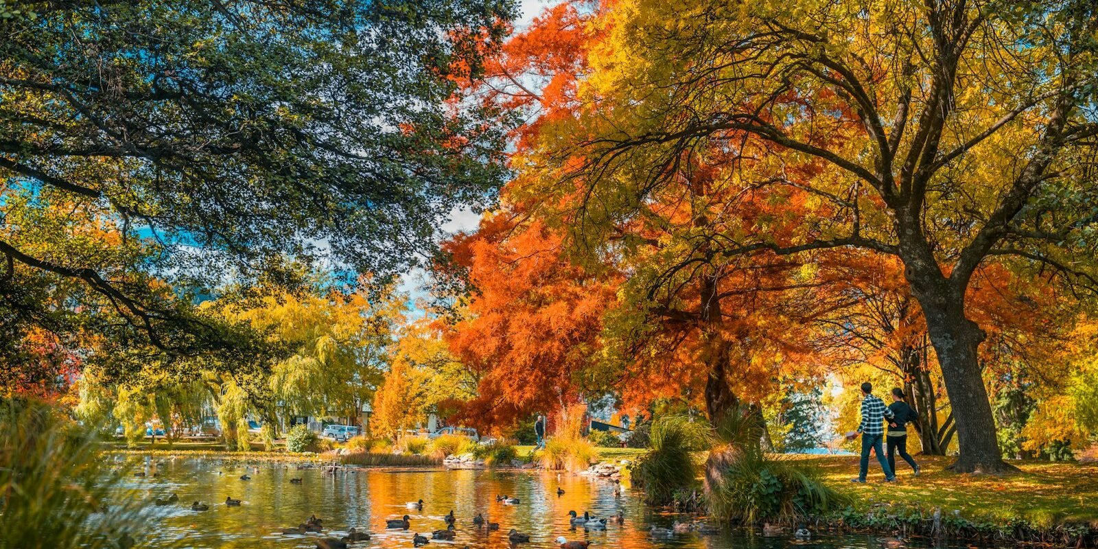 Autumn colours in Queenstown