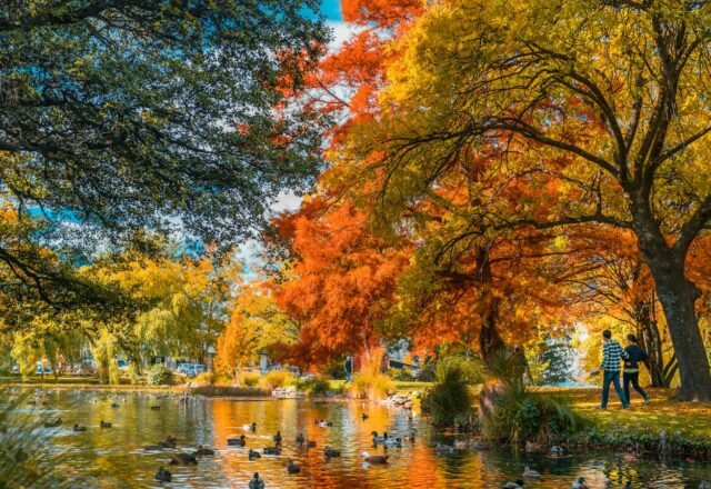 Best Time to Visit Queenstown (Seasons, Weather & Events)