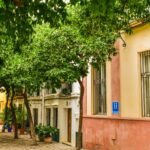 Street lined with orange trees in Seville