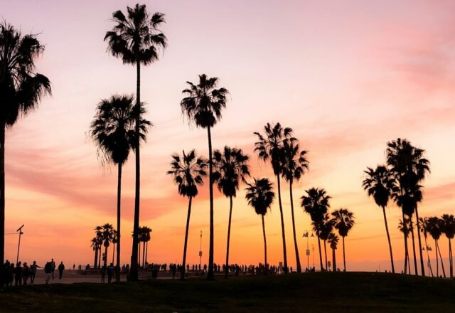 Where to Stay in Los Angeles: Best Areas for 2026