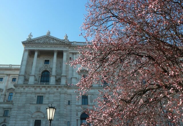 Best Time to Visit Vienna: Seasons, Events & Prices (2026–27)