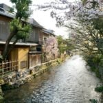 Traditional houses along the Shirakawa canal in Gion