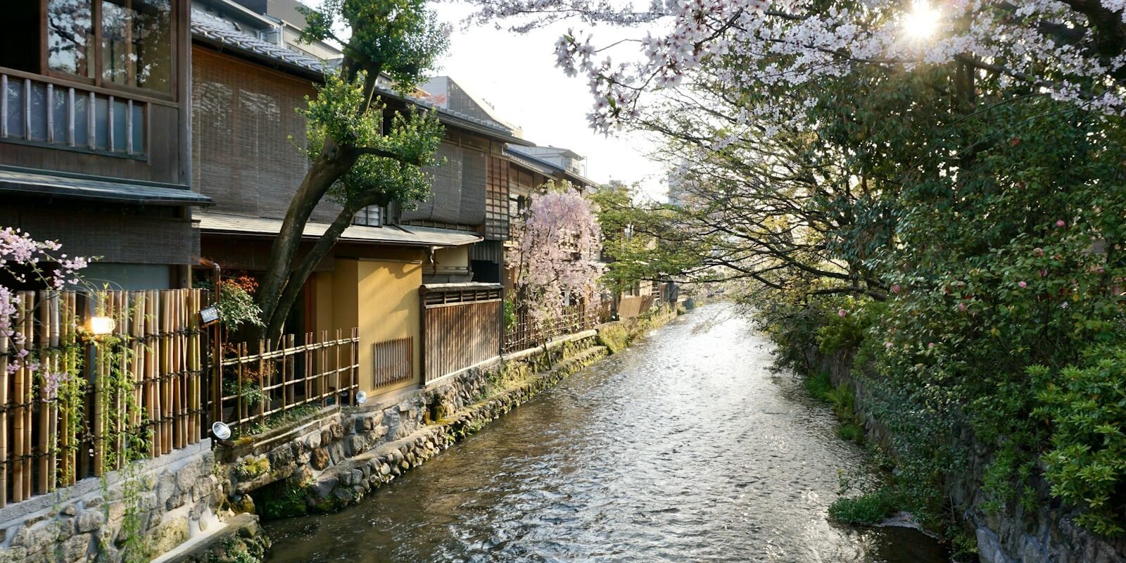 Traditional houses along the Shirakawa canal in Gion